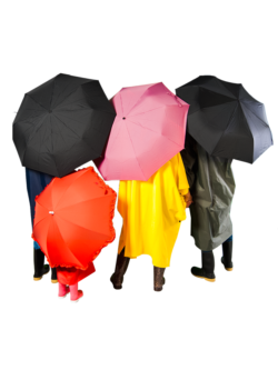 Sombrillas y Paraguas